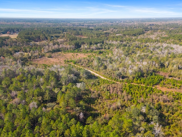 641 US Highway 80, Ellabell, GA 31308 - photo 12
