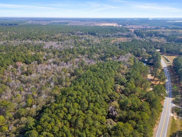 641 US Highway 80, Ellabell, GA 31308 - photo 5