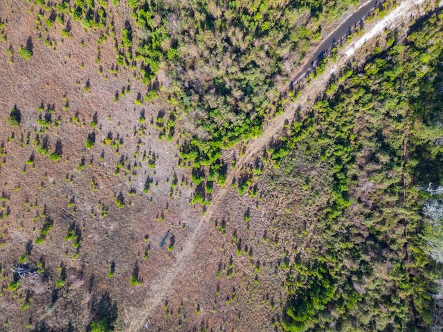 641 US Highway 80, Ellabell, GA 31308 - photo 15