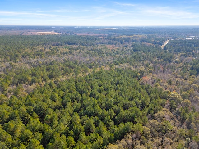 641 US Highway 80, Ellabell, GA 31308 - photo 6