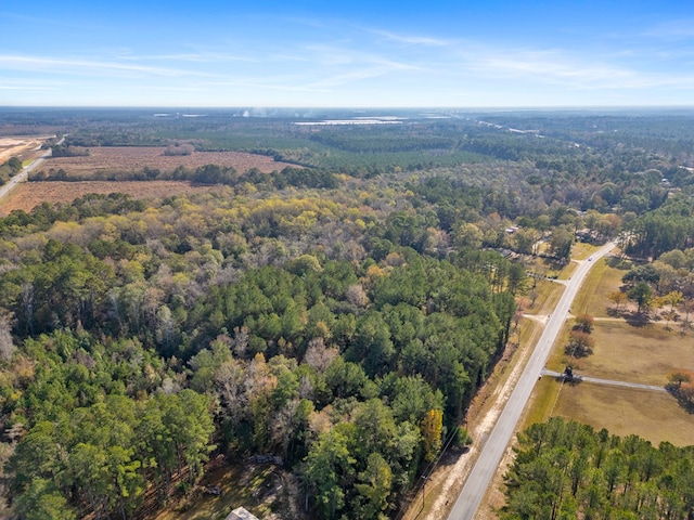 641 US Highway 80, Ellabell, GA 31308 - photo 3