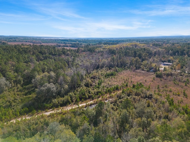 641 US Highway 80, Ellabell, GA 31308 - photo 16