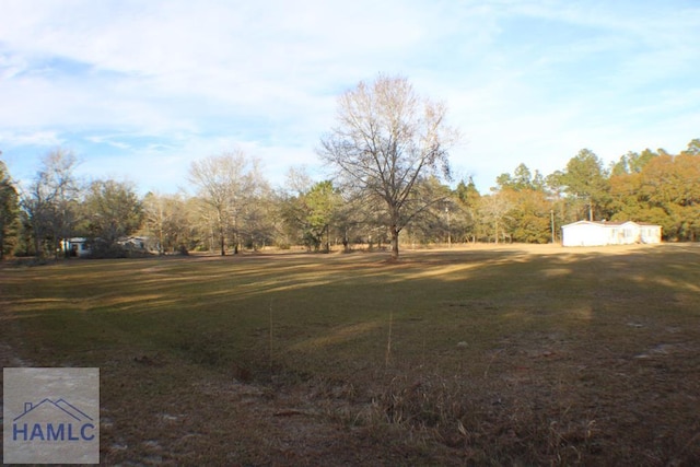 1420 Bradwell Dunham Rd, Ludowici, GA 31316 - photo 28