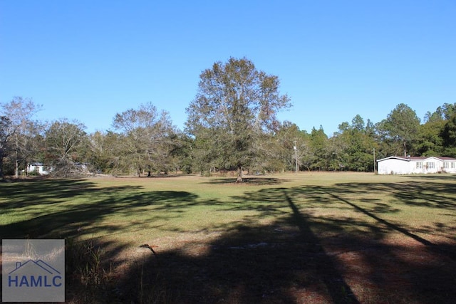 1420 Bradwell Dunham Rd, Ludowici, GA 31316 - photo 1