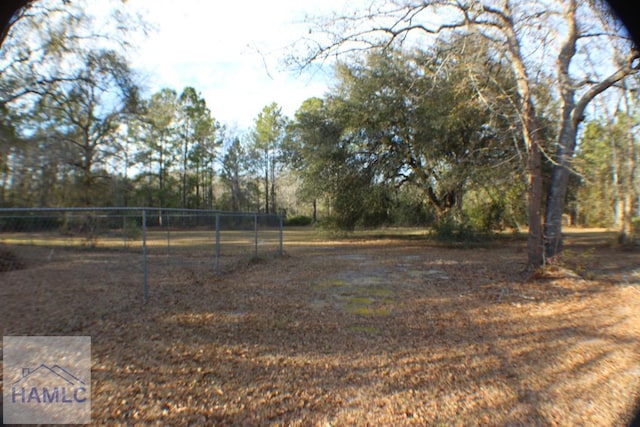 1420 Bradwell Dunham Rd, Ludowici, GA 31316 - photo 23