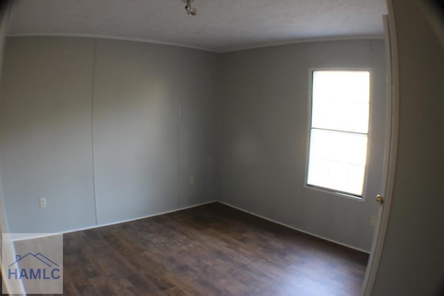 1420 Bradwell Dunham Rd, Ludowici, GA 31316 - photo 13