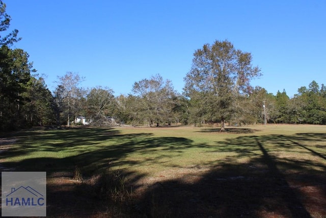 1420 Bradwell Dunham Rd, Ludowici, GA 31316 - photo 9