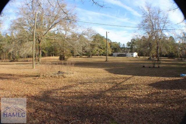 1420 Bradwell Dunham Rd, Ludowici, GA 31316 - photo 25