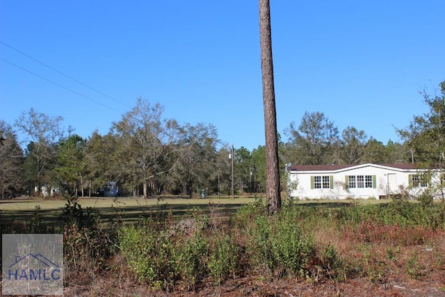1420 Bradwell Dunham Rd, Ludowici, GA 31316 - photo 6