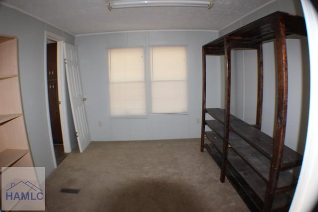 1420 Bradwell Dunham Rd, Ludowici, GA 31316 - photo 20