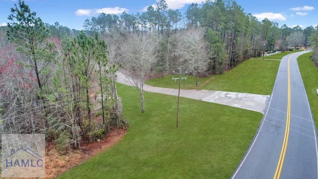 0 Curtis Rd, Hinesville, GA 31313 - photo 24