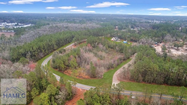 0 Curtis Rd, Hinesville, GA 31313 - photo 10