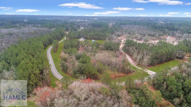 0 Curtis Rd, Hinesville, GA 31313 - photo 9