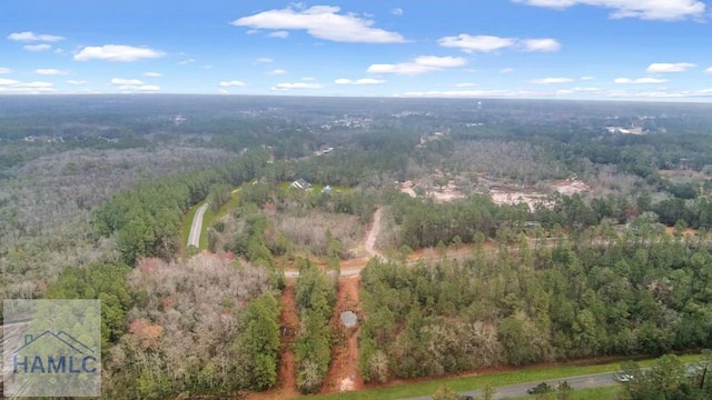 0 Curtis Rd, Hinesville, GA 31313 - photo 15