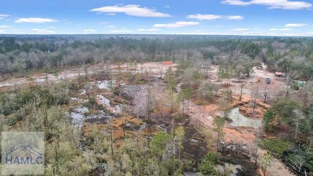 0 Curtis Rd, Hinesville, GA 31313 - photo 20
