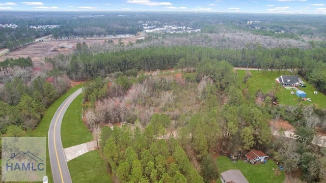 0 Curtis Rd, Hinesville, GA 31313 - photo 11