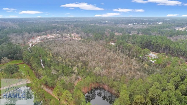 0 Curtis Rd, Hinesville, GA 31313 - photo 1