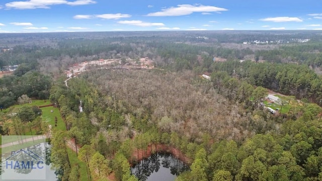 0 Curtis Rd, Hinesville, GA 31313 - photo 2