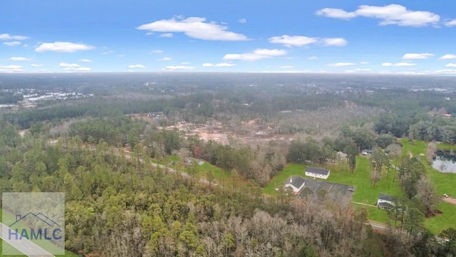 0 Curtis Rd, Hinesville, GA 31313 - photo 17