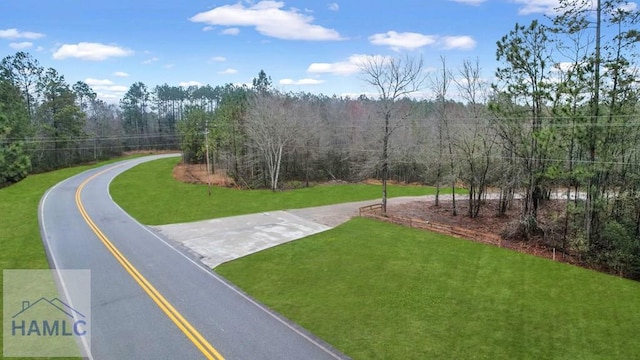 0 Curtis Rd, Hinesville, GA 31313 - photo 25
