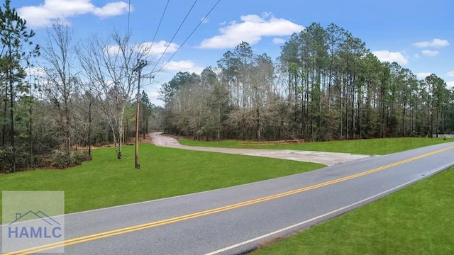 0 Curtis Rd, Hinesville, GA 31313 - photo 27