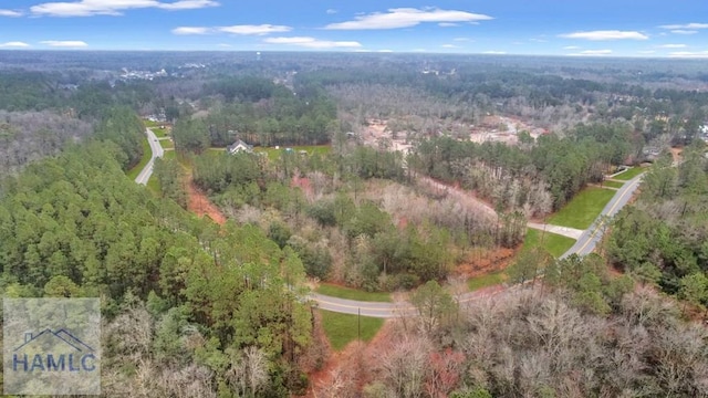 0 Curtis Rd, Hinesville, GA 31313 - photo 8