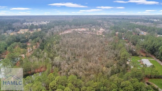 0 Curtis Rd, Hinesville, GA 31313 - photo 3