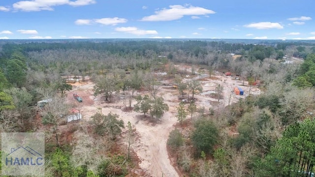 0 Curtis Rd, Hinesville, GA 31313 - photo 23