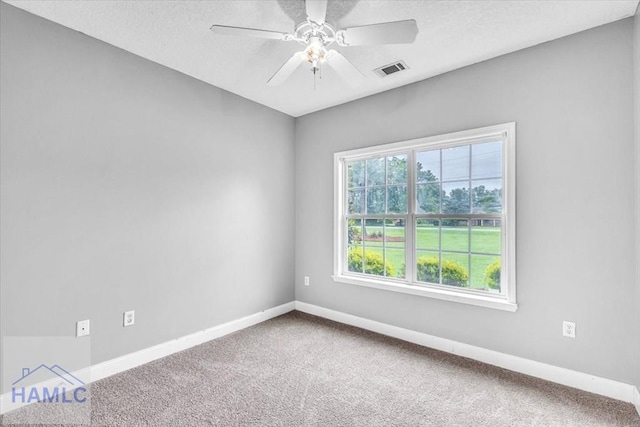 1212 E Barnard St, Glennville, GA 30427 - photo 23