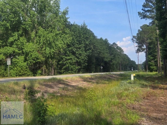 2.30 Ga Highway 196, Hinesville, GA 31313 - photo 6