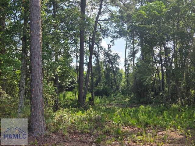 2.30 Ga Highway 196, Hinesville, GA 31313 - photo 2