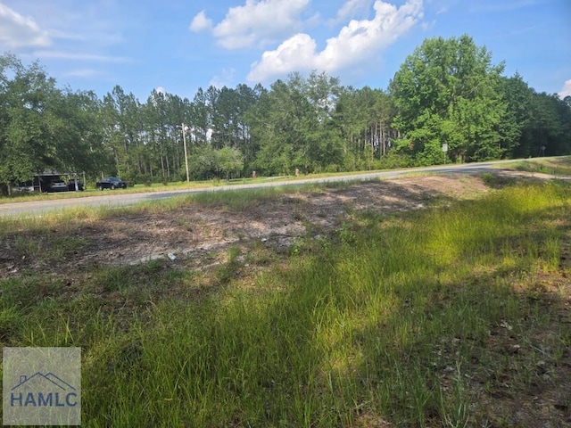 2.30 Ga Highway 196, Hinesville, GA 31313 - photo 4