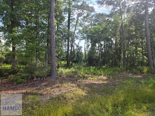 2.30 Ga Highway 196, Hinesville, GA 31313 - photo 1
