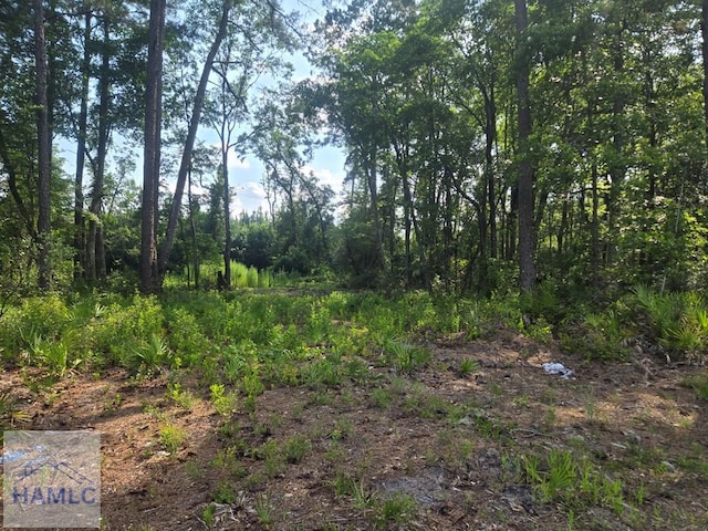 2.30 Ga Highway 196, Hinesville, GA 31313 - photo 3