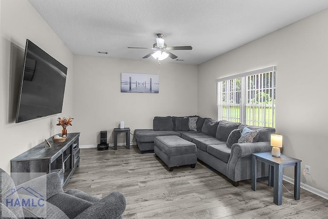 229 Wellspring Ter, Allenhurst, GA 31301 - photo 15
