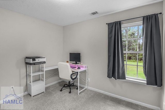 229 Wellspring Ter, Allenhurst, GA 31301 - photo 30