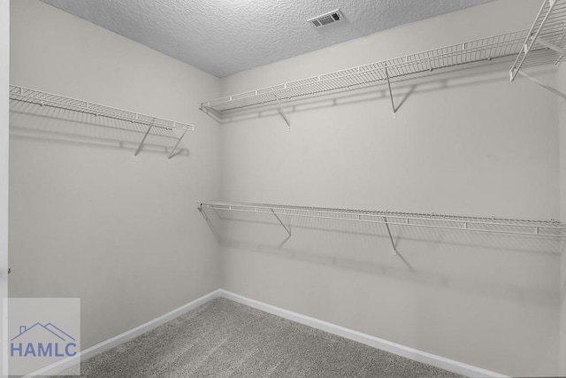 229 Wellspring Ter, Allenhurst, GA 31301 - photo 26