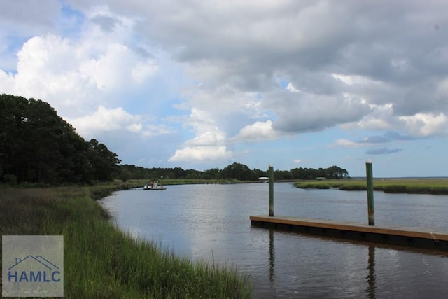 0 Jerico Marsh Rd, Midway, GA 31320 - photo 4