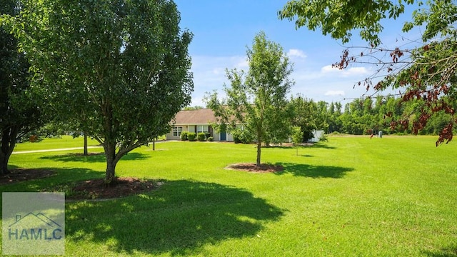 269 Colleen Ln, Jesup, GA 31545 - photo 11
