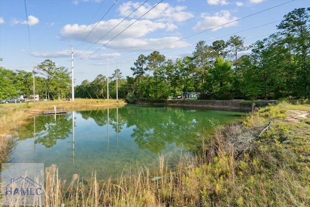 73 Chambliss Ln, Ludowici, GA 31316 - photo 42