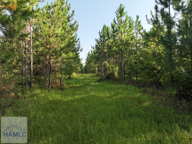0 Oglethorpe Rd, Jesup, GA 31545 - photo 6
