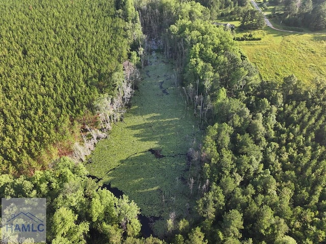 0 Oglethorpe Rd, Jesup, GA 31545 - photo 4