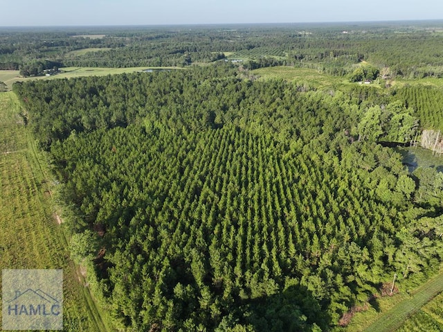 0 Oglethorpe Rd, Jesup, GA 31545 - photo 1