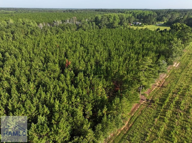0 Oglethorpe Rd, Jesup, GA 31545 - photo 8