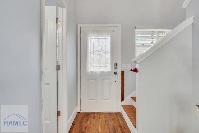 doorway to outside featuring wood-type flooring