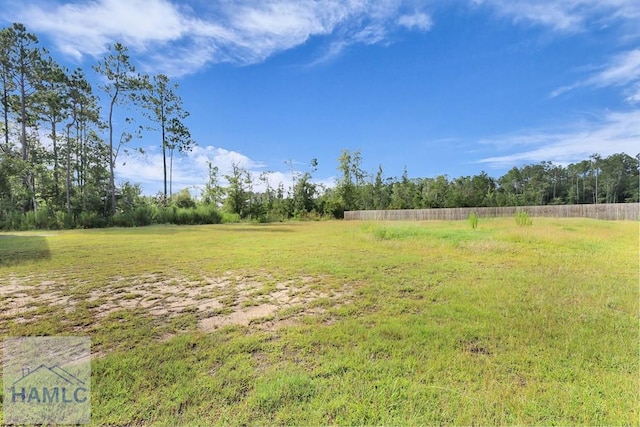 15 Loganberry Ln, Ludowici, GA 31316 - photo 48