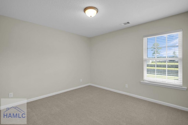 15 Loganberry Ln, Ludowici, GA 31316 - photo 26