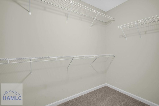 15 Loganberry Ln, Ludowici, GA 31316 - photo 37