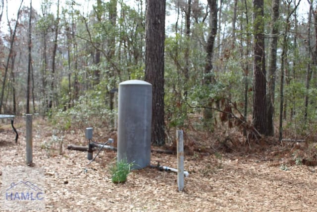 776 Phillips Rd, Millen, GA 31320 - photo 13
