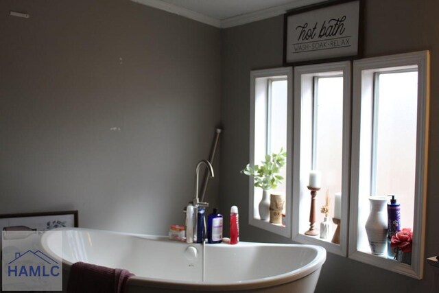 776 Phillips Rd, Millen, GA 31320 - photo 3